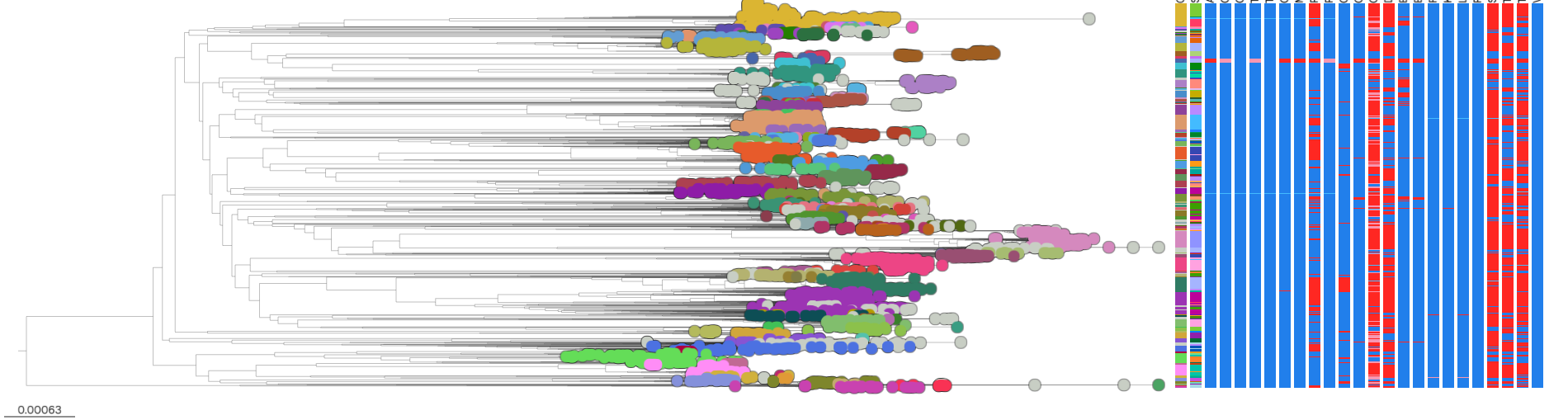 Data curation and automation workflow